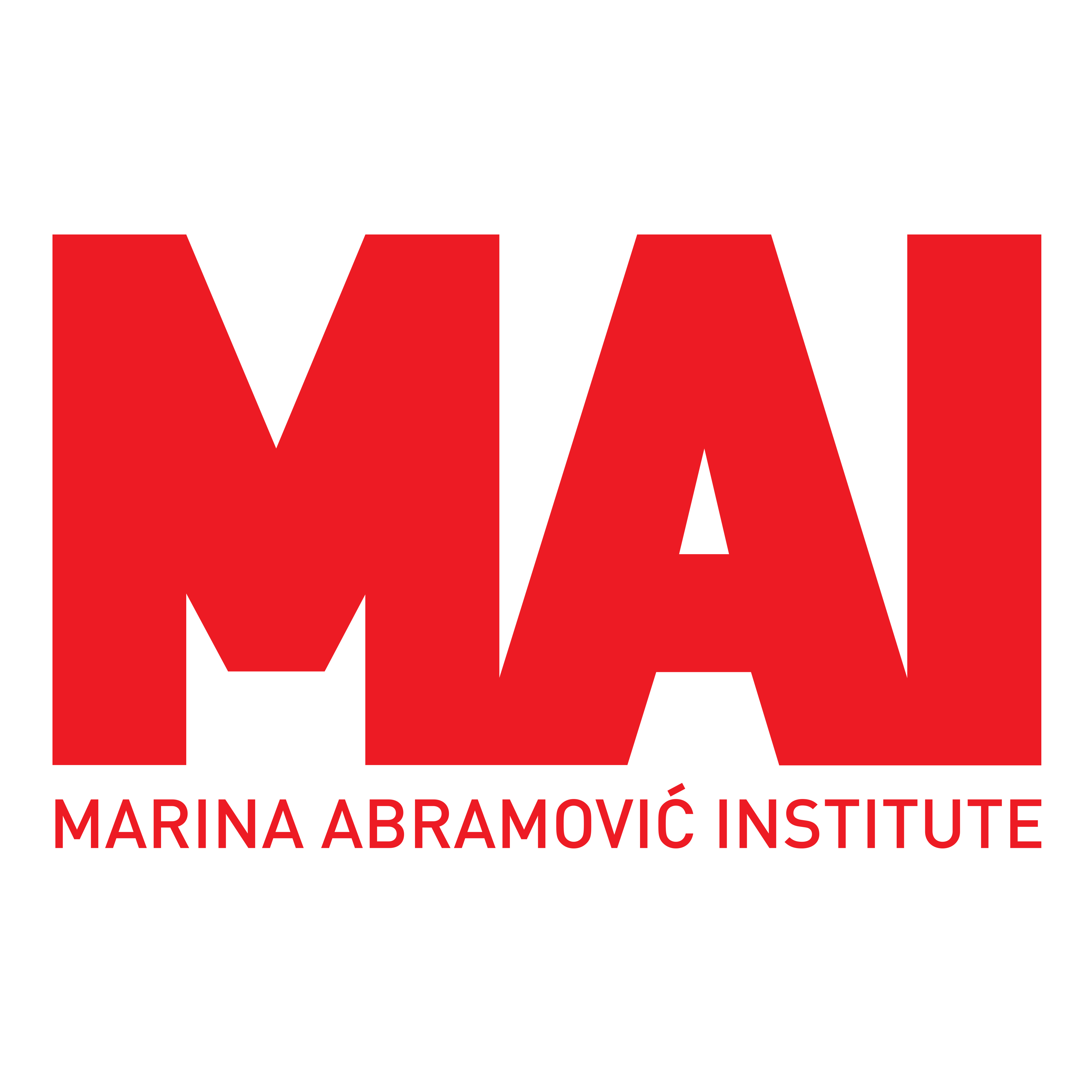 Marina Abramovic Institute